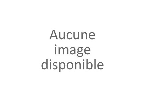 Colle Vinylique Blanche